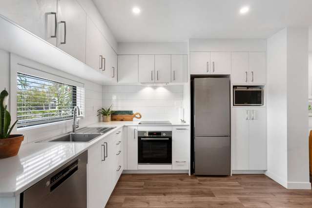 36b Scott Avenue Mangere Bridge_1