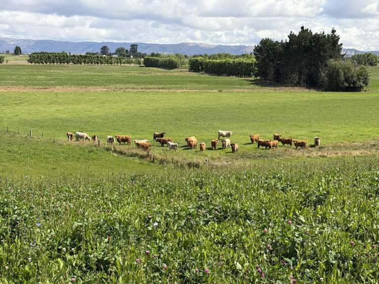 Bypass Road Ranfurly_15