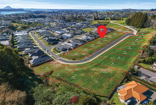 111 Quail Ridge Ohauiti_3