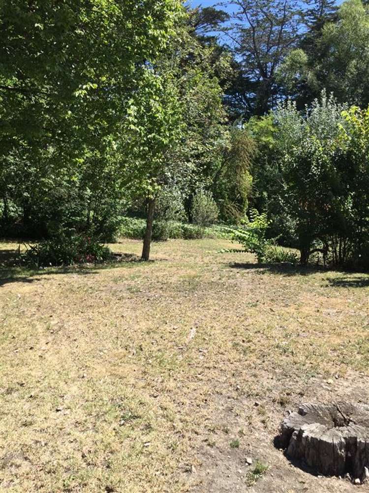 79 Princes Street Waikari_7