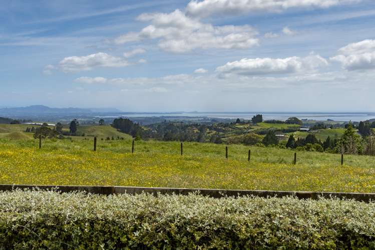 173 Tim Road Whakamarama_5