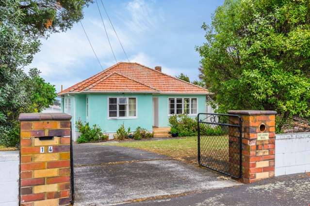 14 Fairlands Avenue Waterview_1