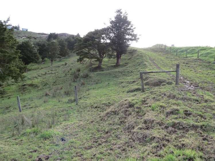 565 Bickerstaffe Road Maungaturoto_12