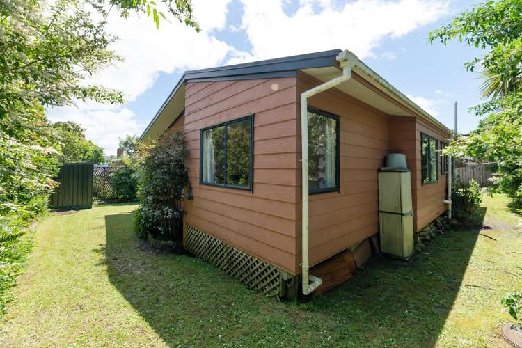 201B Halsey Drive Lynfield_13