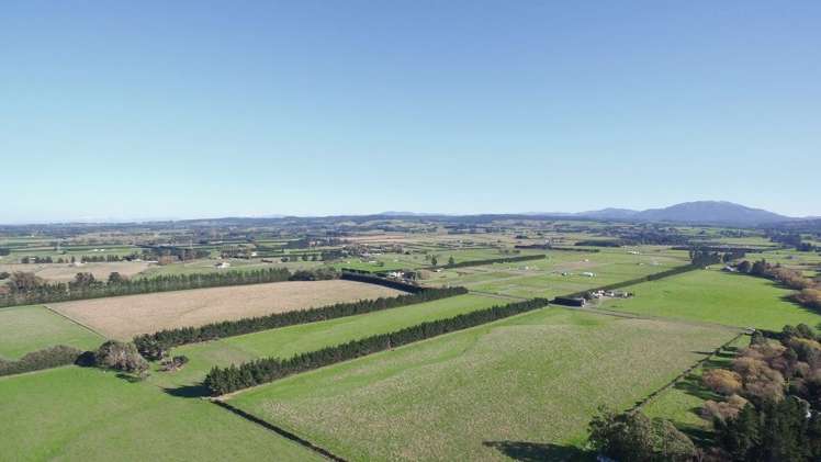 518 Rangiora Leithfield Road Sefton_12