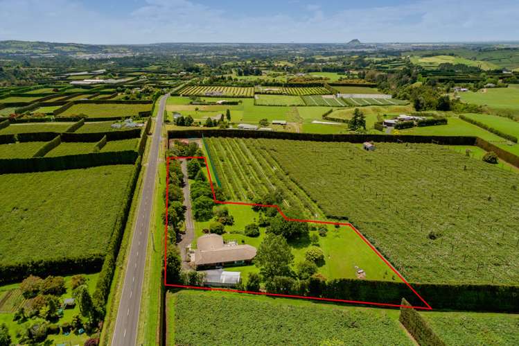 905 Oropi Road Oropi_30