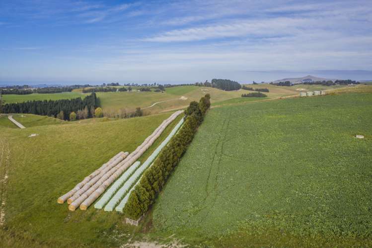 98 Johnstons Road Five Forks and Surrounds_9