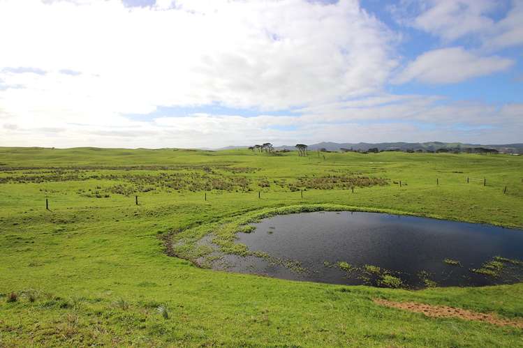 Sandhills Road Ahipara_23