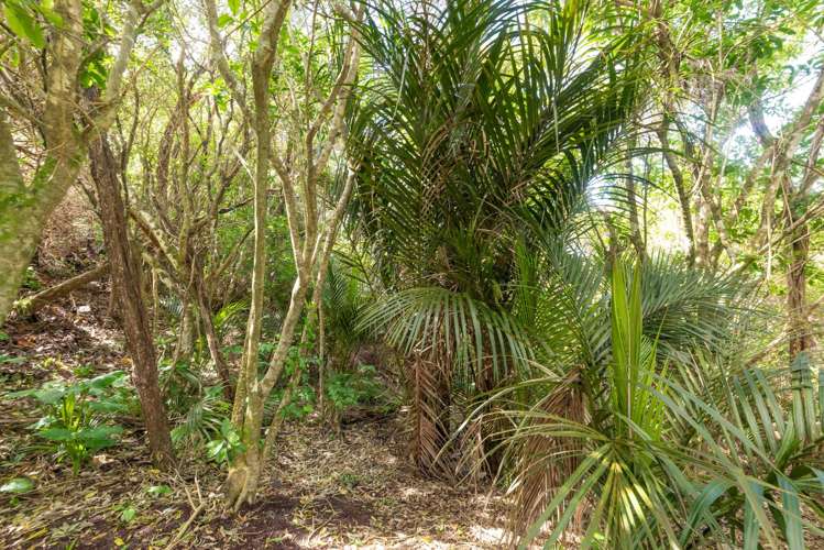 196 Newton Road Omapere_25