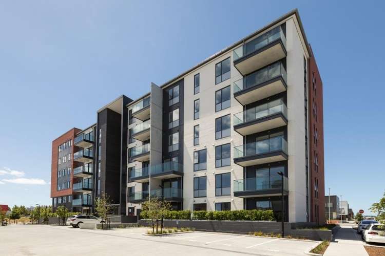 G08/57 Mapou Road 1626_9