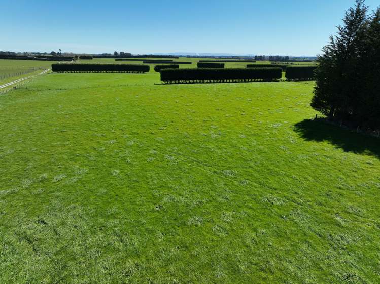 616 Woodlands Road Mokotua_4