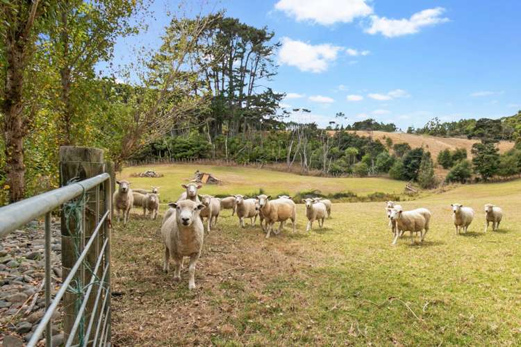271 Muriwai Valley Road Muriwai_27