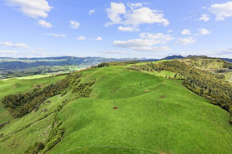 878 Mokauiti Road Aria_19