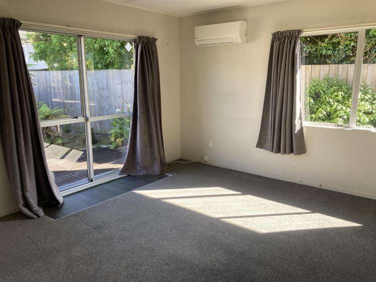 23B Rata Street 1066_2