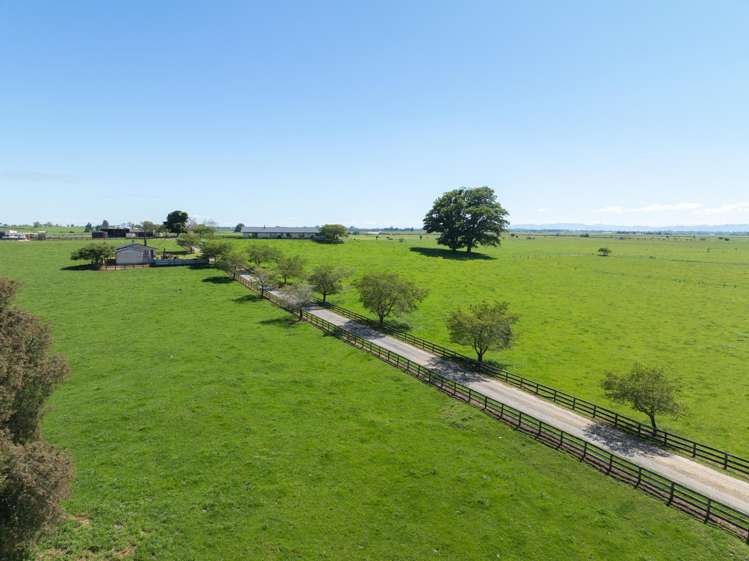 254 Muir Road Te Awamutu_4