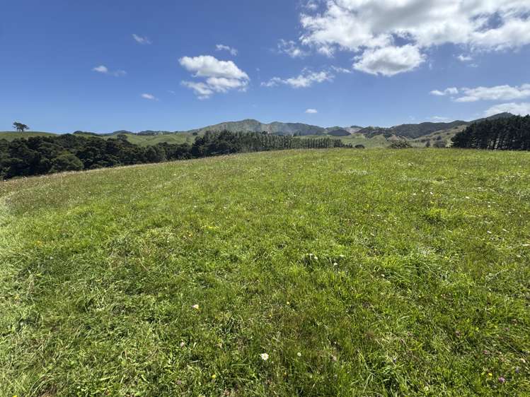 4435 State Highway 31, Kawhia Road Oparau_17