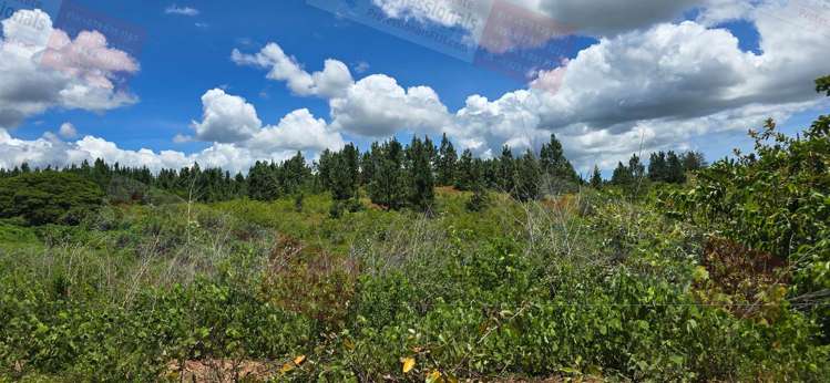 Address withheld Nadi_24