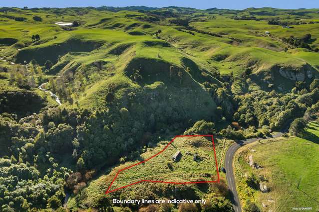 1652 Waikaretu Valley Road Waikaretu_4