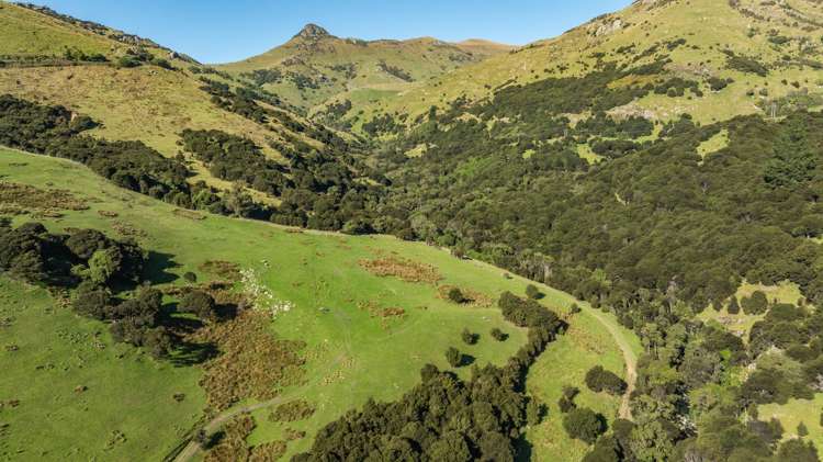 168-240 Purau Port Levy Road Purau_12