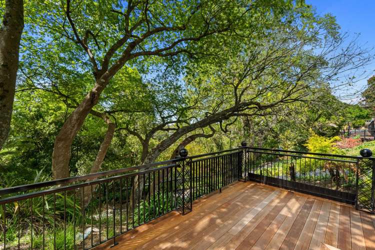 20 Alma Street Hamilton Central_6