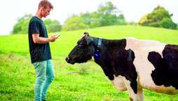 Hi-tech firm Halter eyes fresh pastures