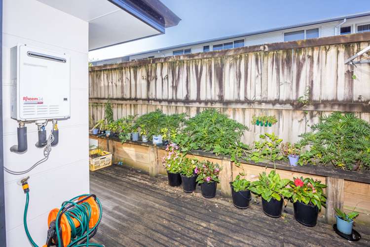 4/287 Ulster Street Whitiora_15