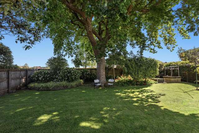 14 Barry Avenue Whakatane_1