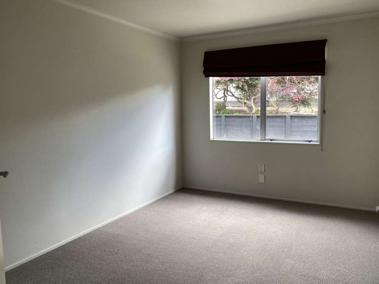 51 Hollister Lane Ohauiti_16