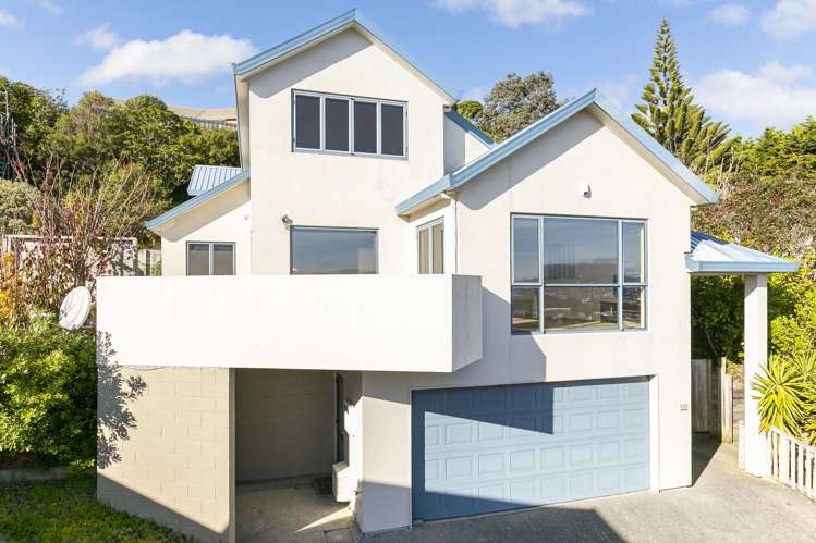 83a Townsend Road Miramar_17