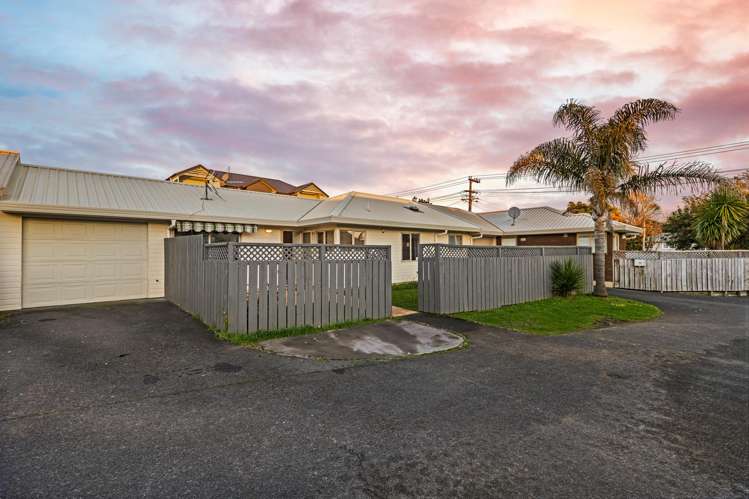19A Pomaria Road Henderson_0