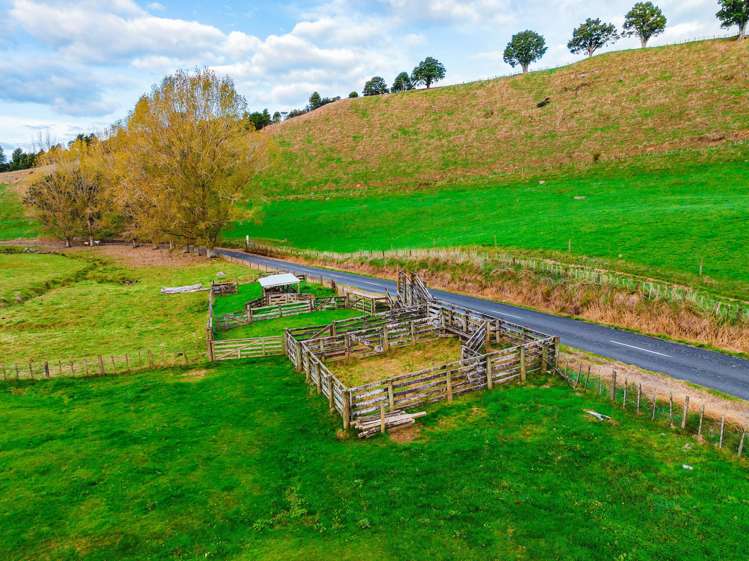 86 Makokomiko Road Manunui_19