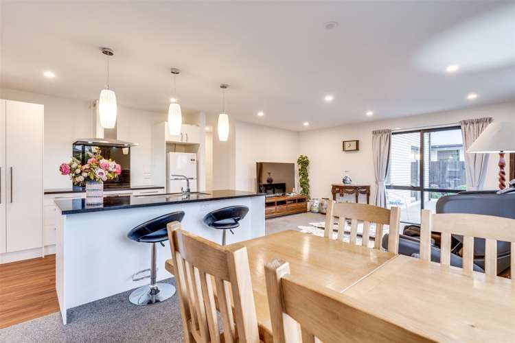 46b Epsom Road Sockburn_6