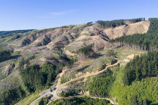 68-69 Creek Flat Lane Aokautere_1