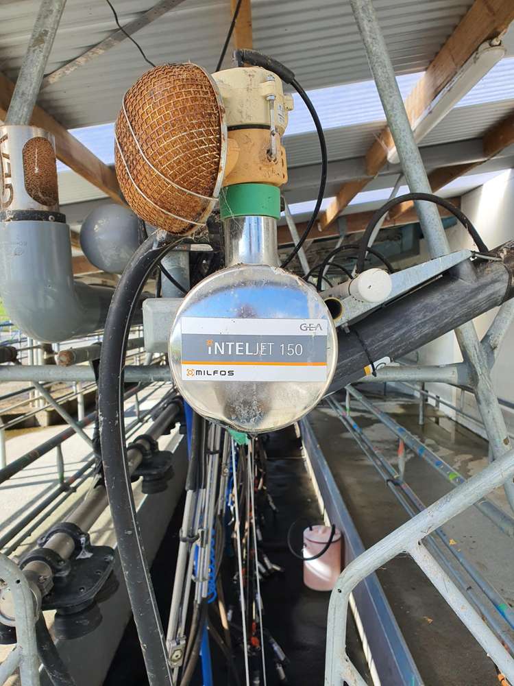 217 Poerua Valley Road Harihari_6