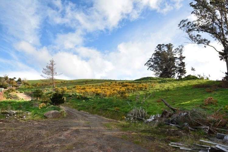 57 Koremata Street Green Island_4