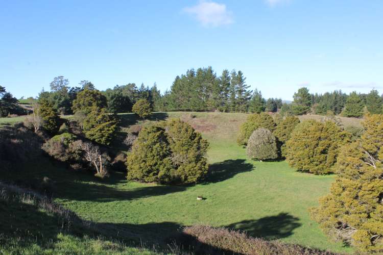 109 Vaughan Road Takapau_5