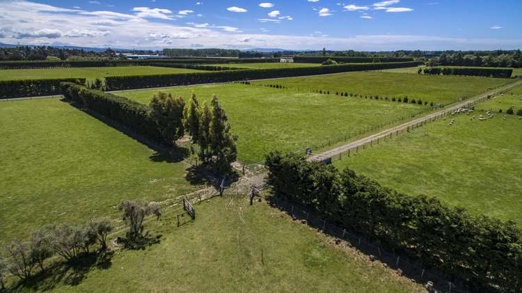 181 Flaxton Road Flaxton_7