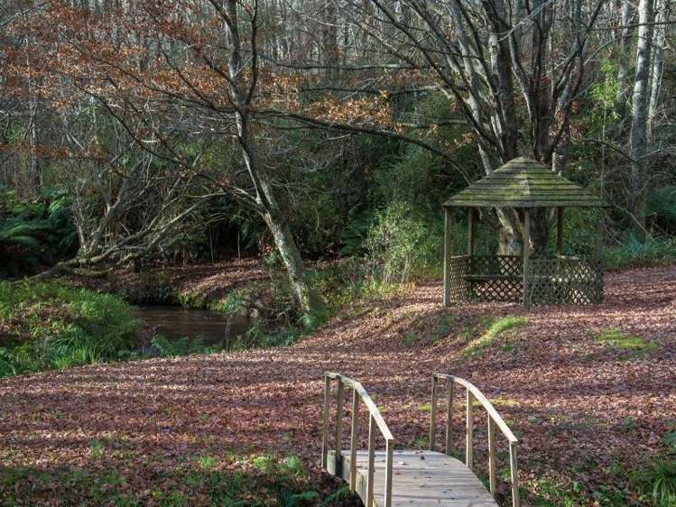 763 Paradise Valley Road Ngongotaha Valley_5