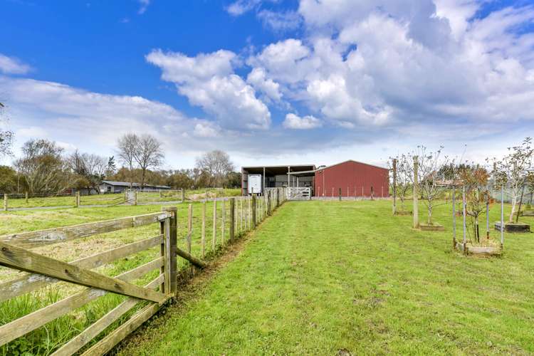 1258 Dairy Flat Highway Dairy Flat_17