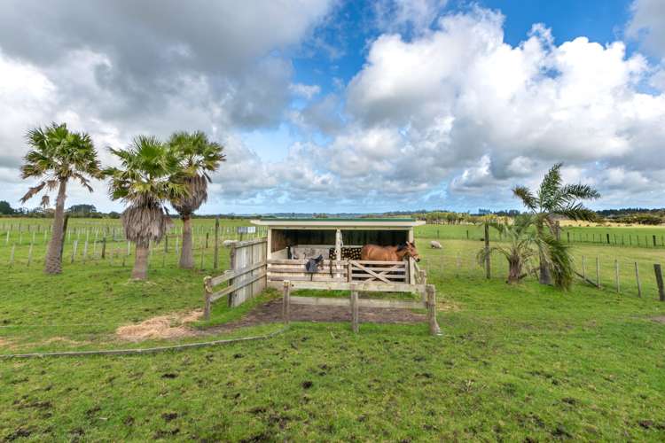 131 Pairatahi Road Kaingaroa_4