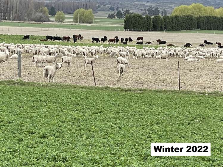 Lot 2 DP 595620 Gladbrook Road Middlemarch_10