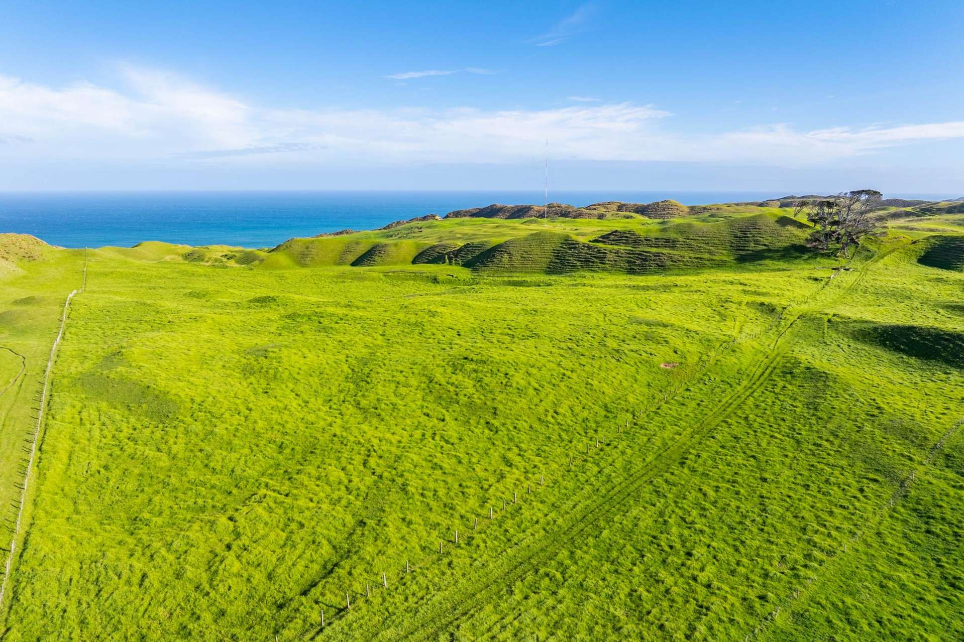 Pinaki Road Dargaville_0