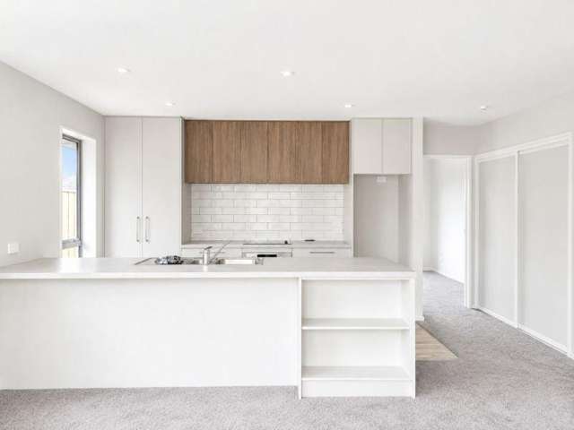 14 Silverstone Loop Rolleston_1