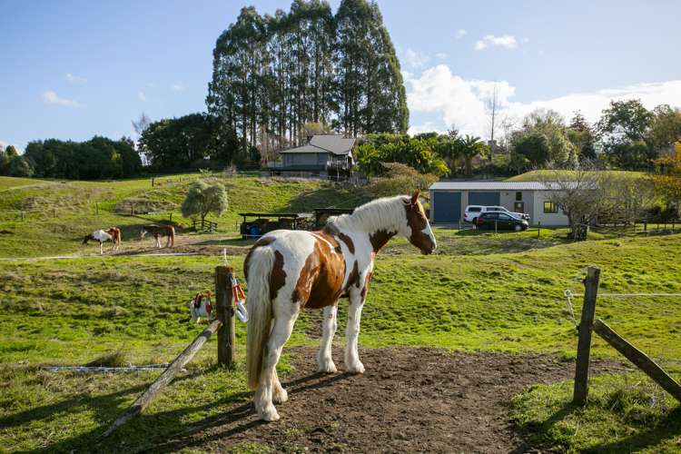 4/864 Whangamata Road Kinloch_34