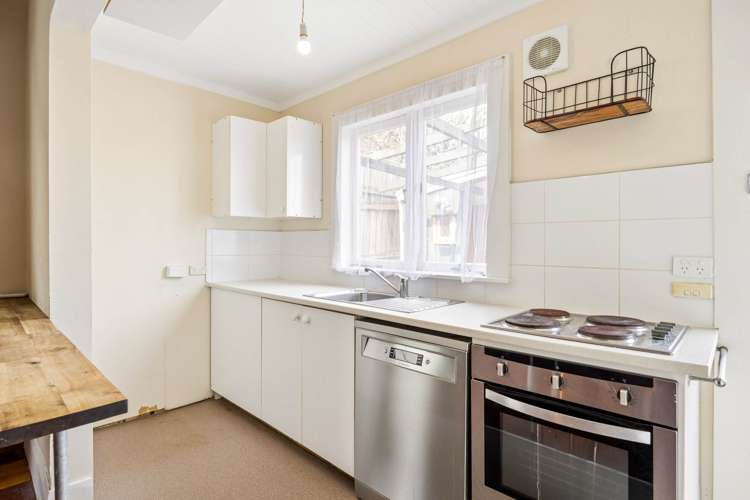 16 Northland Street Grey Lynn_5