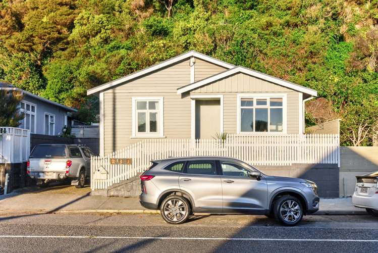231 Muritai Road Eastbourne_28