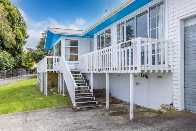 342 Douglas Avenue Te Awamutu_2