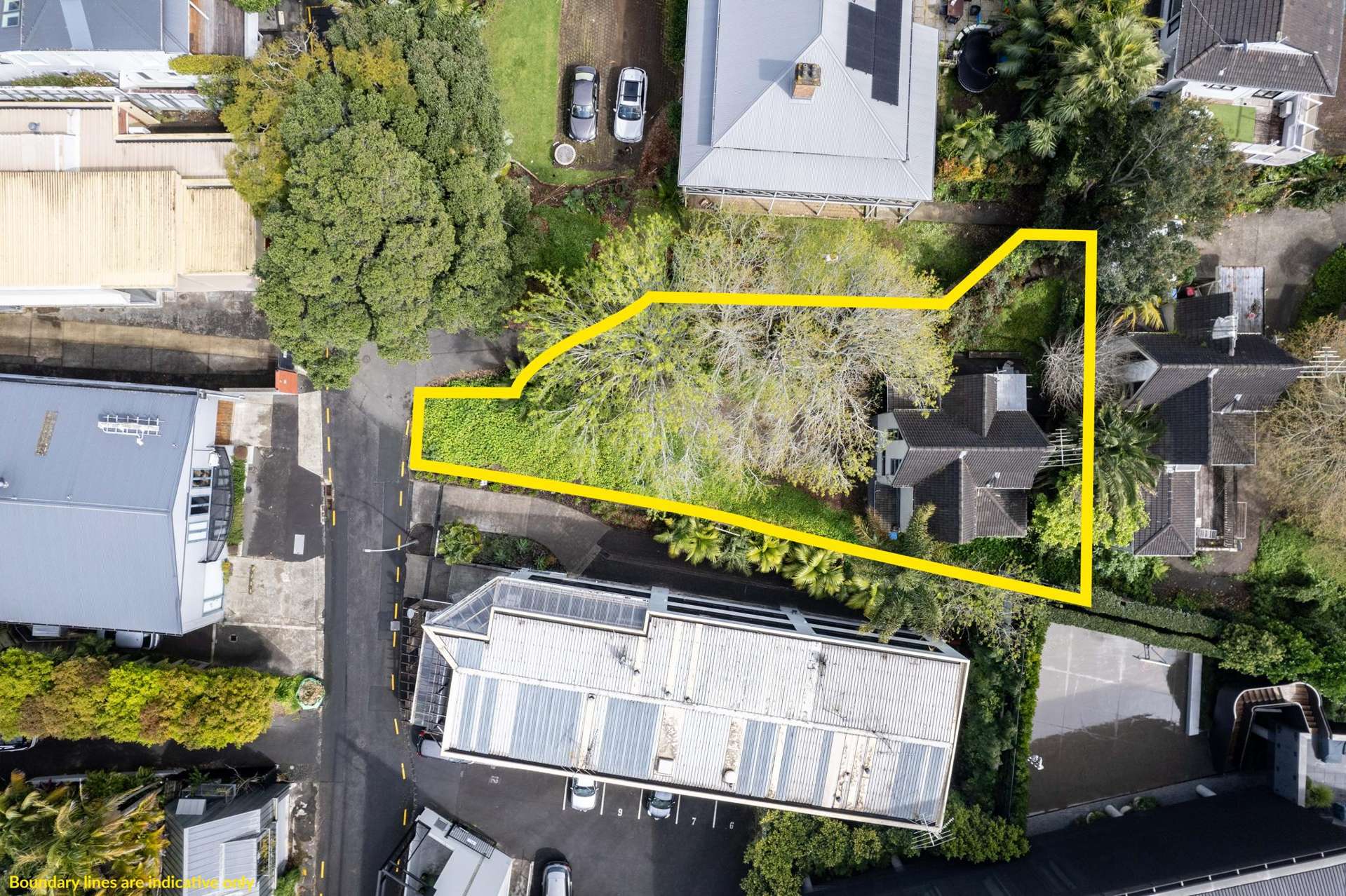 26 Ruskin Street Parnell_0
