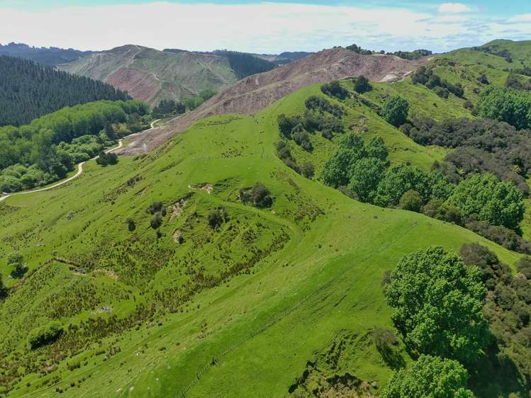 370 Matatara Road Parikino_7