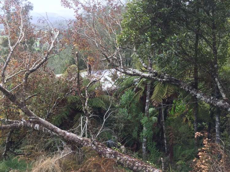 134b Granite Creek Road Karamea_6